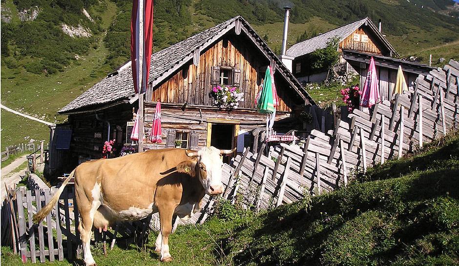 Apartment Haus Van Der Leij Russbach am Pass Gschütt Kültér fotó